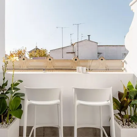 アパート Atico C/ Adriano_catedral.